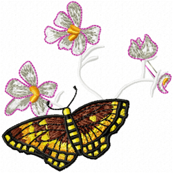 Butterfly Embroidery Design 5